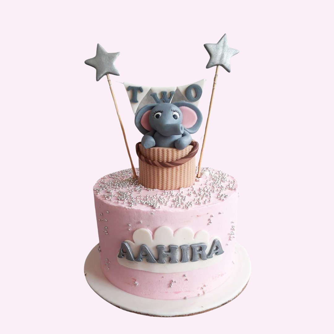 Elephants on ride in a hot air - Crave by Leena