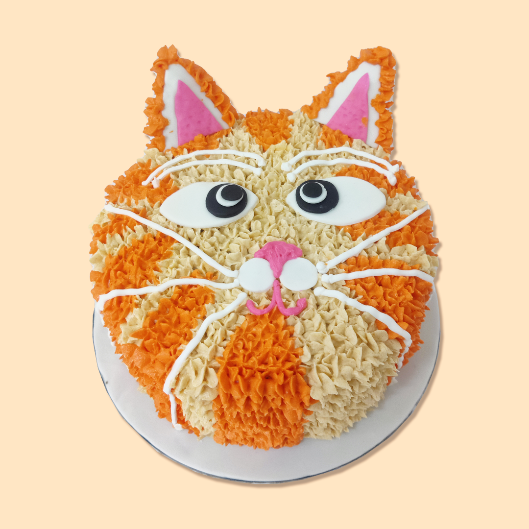 Oh The Orange - Crave by Leena