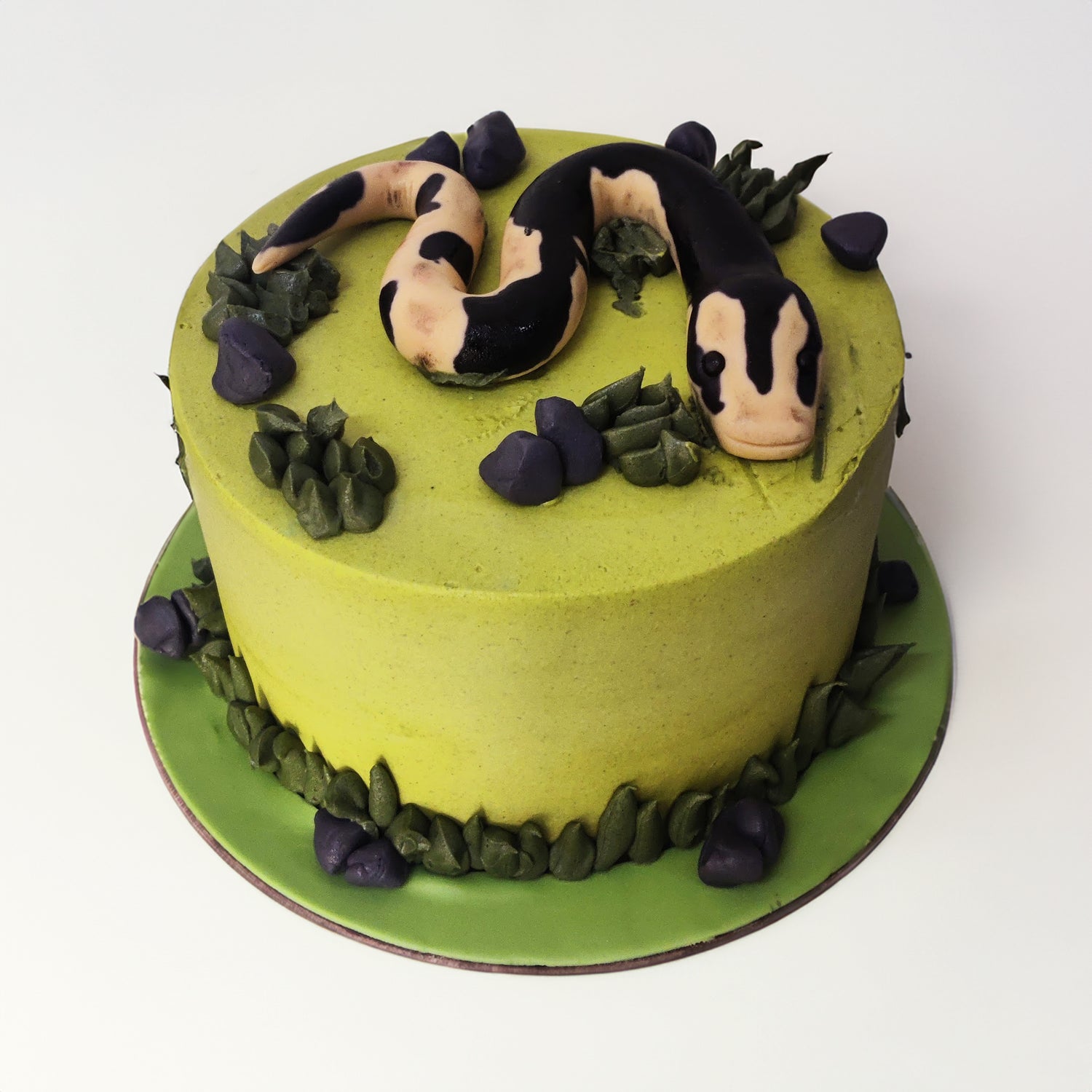 Python theme cake - Crave by Leena