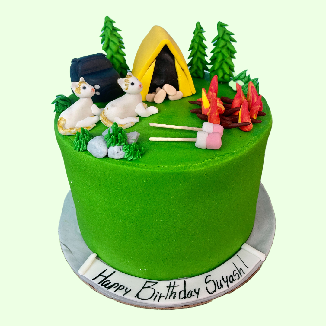 A Campfire to Remember - Crave by Leena