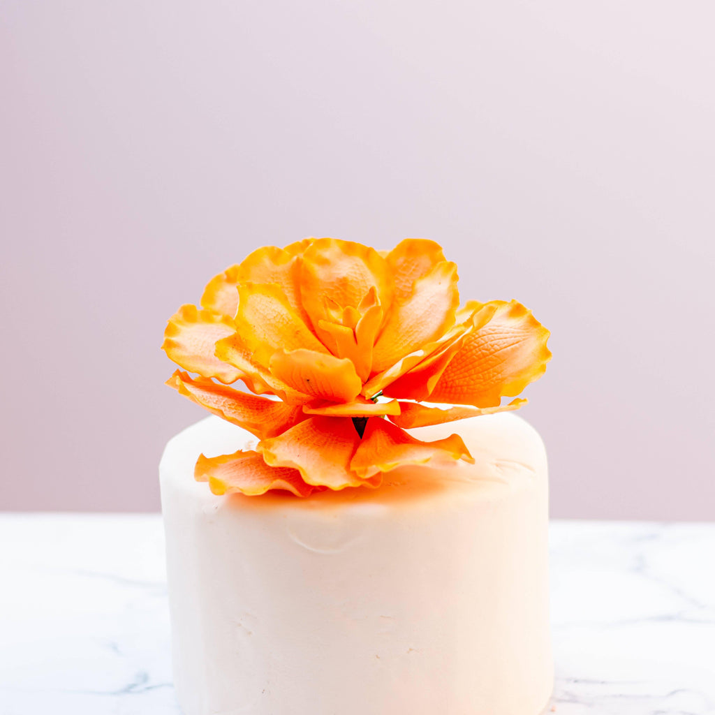 Peachy Peony Topper - Crave
