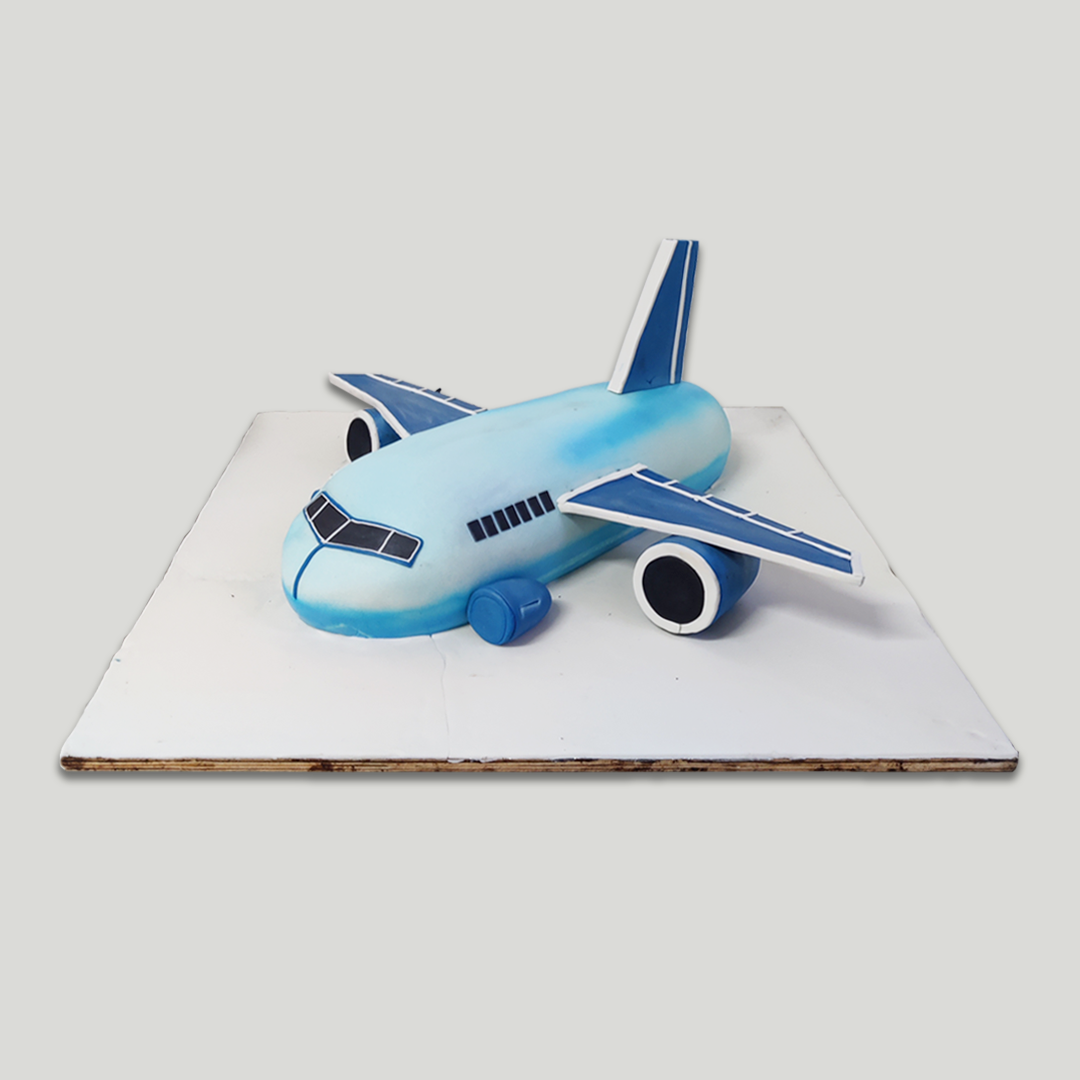 Big Blue Airplane Cake