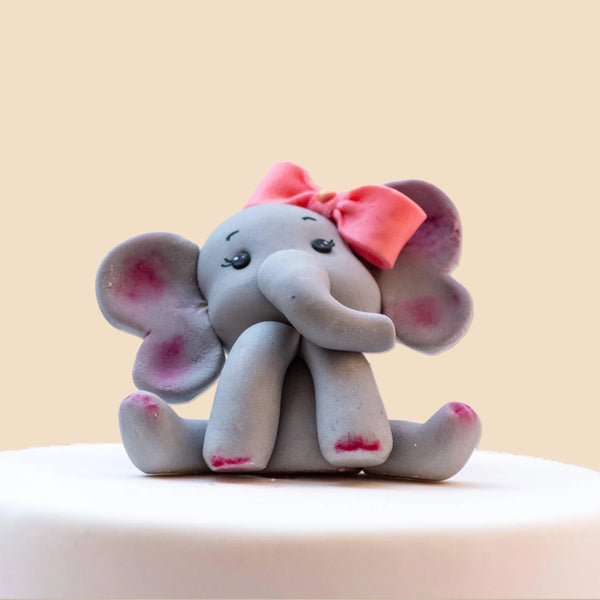 Complete Your Cake