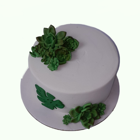 Succulents on cake - Crave by Leena