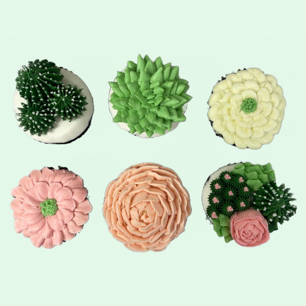 Succulent cupcakes(Box of 6 ) - Crave by Leena