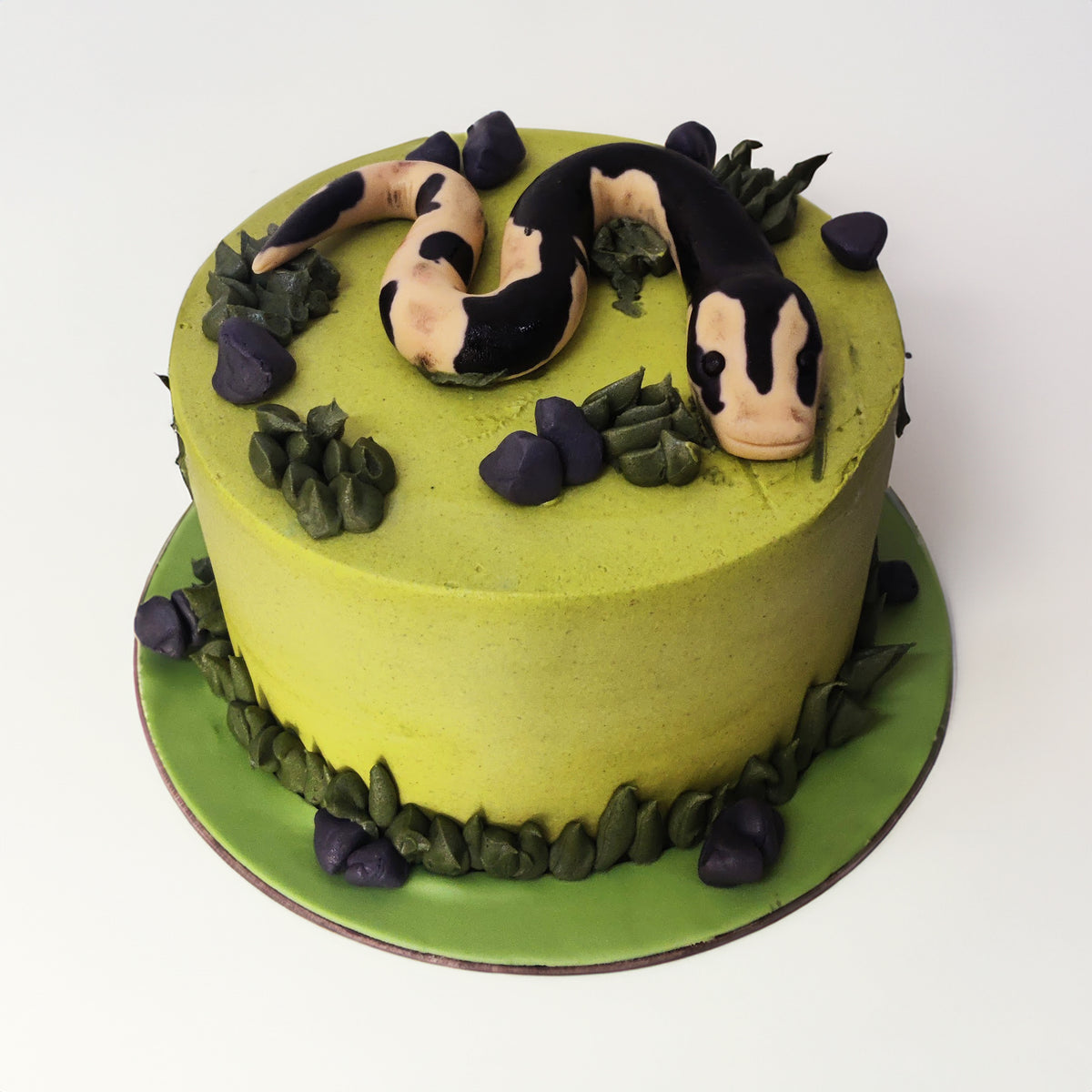 Python Theme Cake – Reptile-Inspired Celebration Cake – Crave by Leena