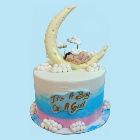 Pink & Blue Moon Baby - Crave by Leena