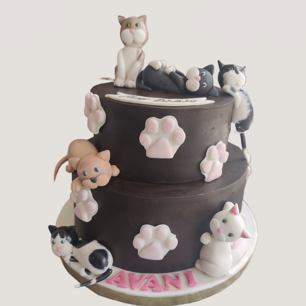 Cats Love Ganache Cake - Crave by Leena