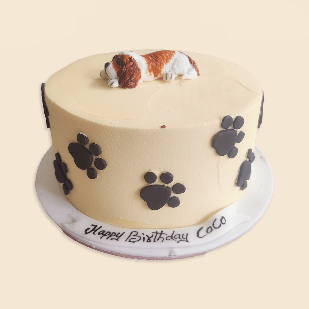 Dog & paw cake. - Crave by Leena