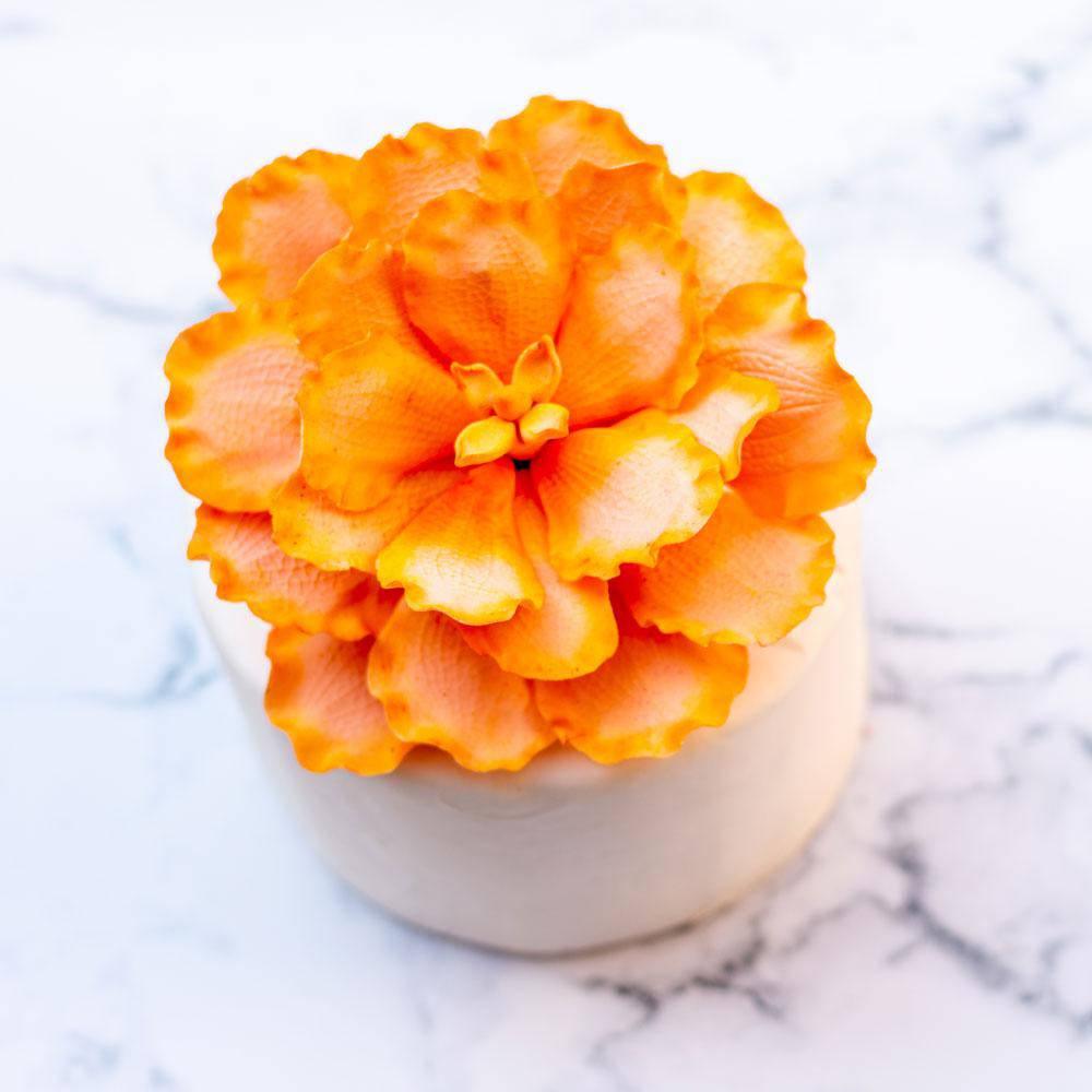 Peachy Peony Topper - Crave